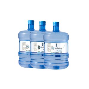 Bidon (Recarga) 12 Lts X 3