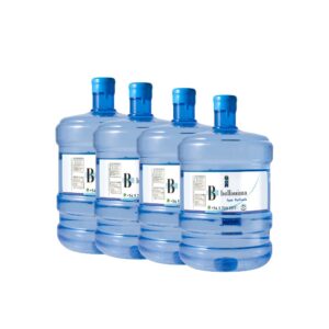 Bidon (Recarga) 12 Lts X 4