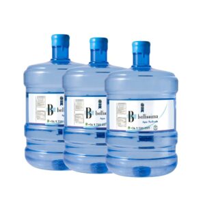 Bidon (Recarga) 20 Lts X 3