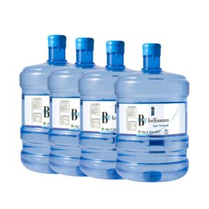 Bidon (Recarga) 20 Lts X 4